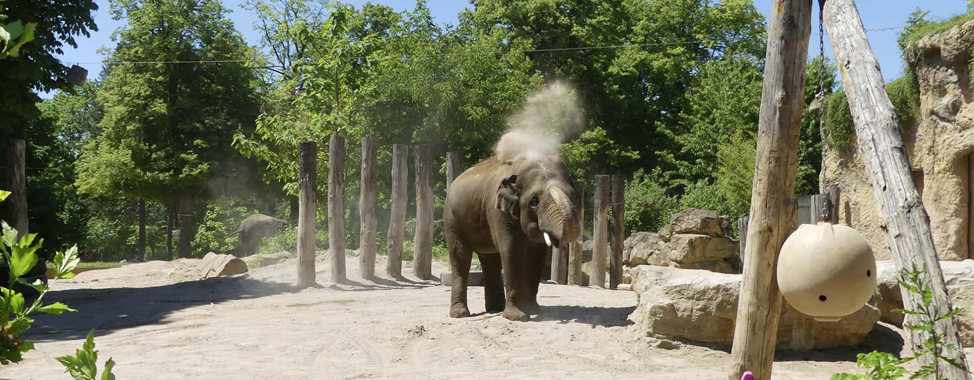 Zoo Heidelberg Startseite