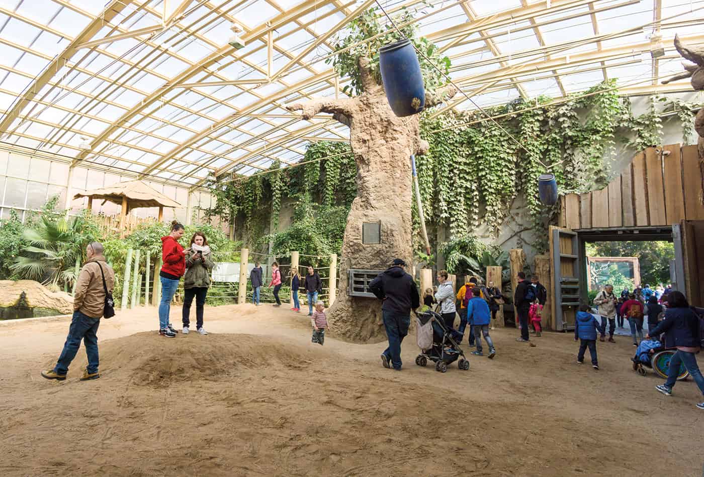 Sesam öffne dich im Zoo 2017 (Foto: Peter Bastian/Zoo Heidelberg)