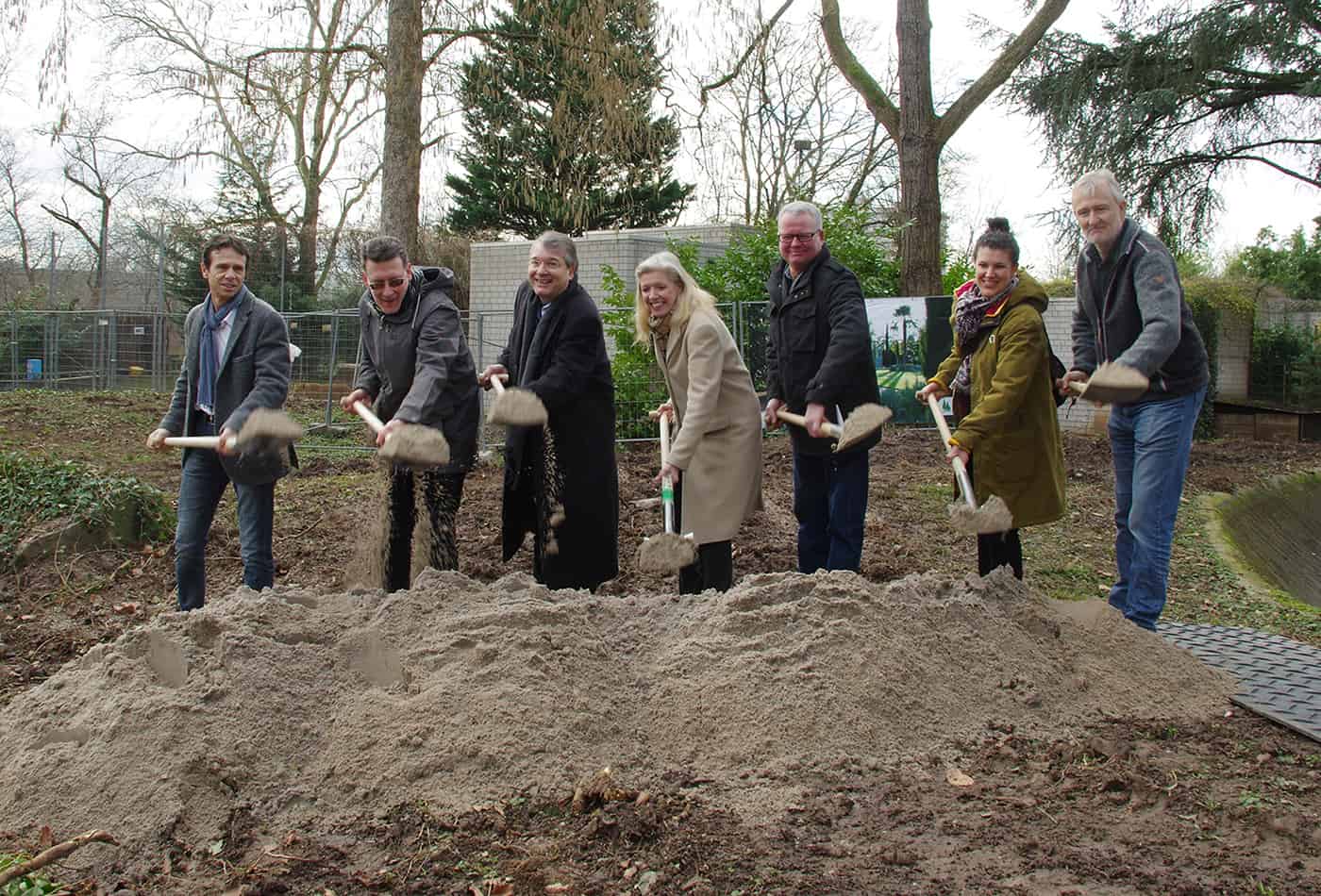 Spatenstich für die neue Löwenanlage (Foto: Heidrun Knigge/Zoo Heidelberg)