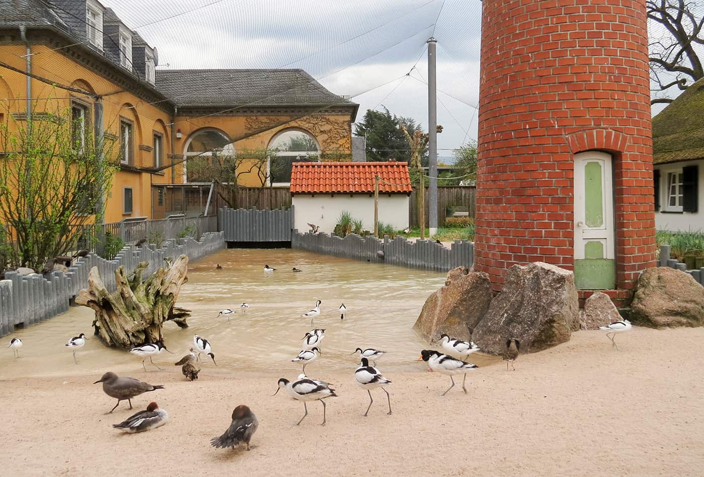 Küstenpanorama mit neuem Bodenbelag (Foto: Zoo Heidelberg)