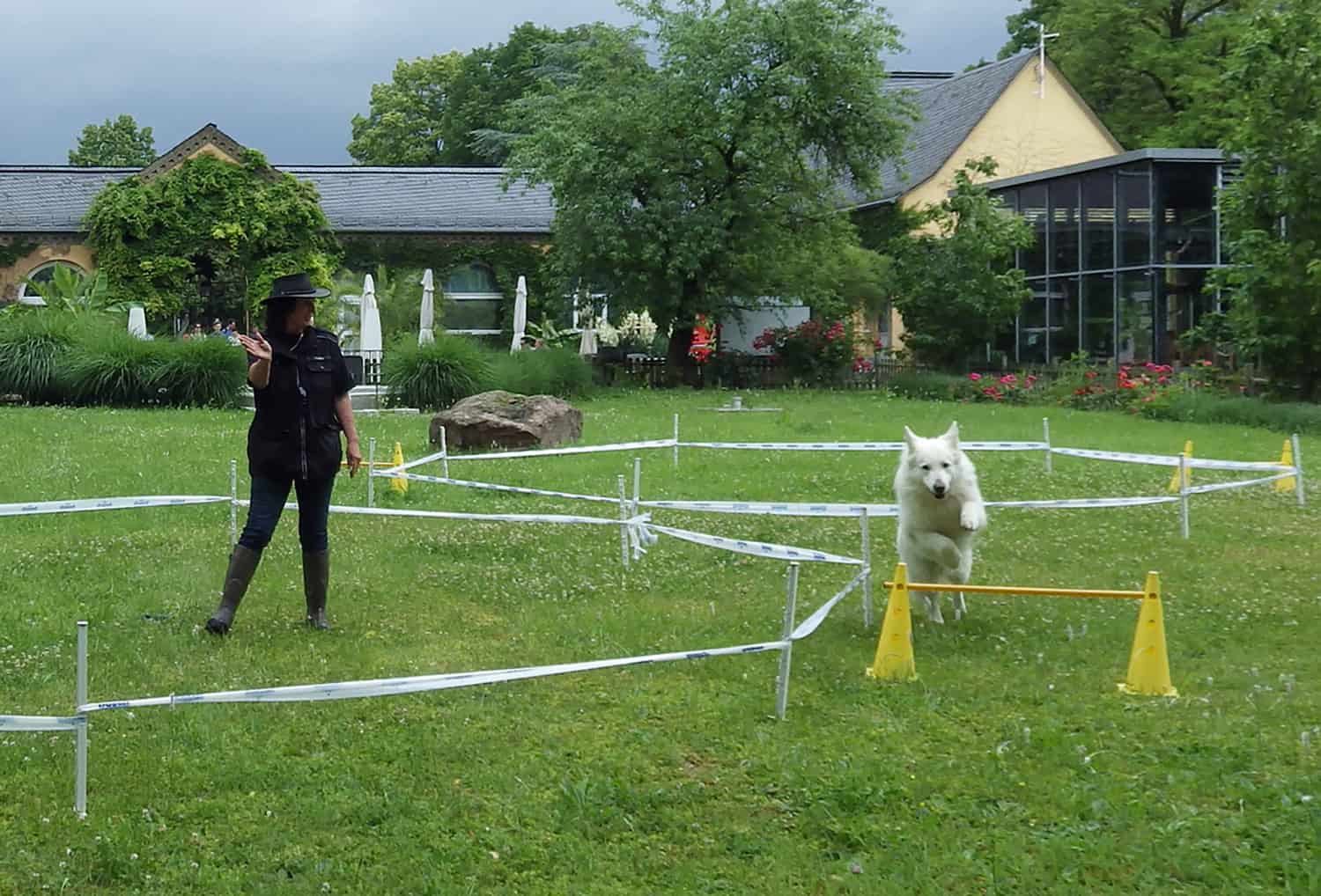 Ankündigung des Hundetag 2018 im Zoo Heidelberg (Foto: Zoo Heidelberg)