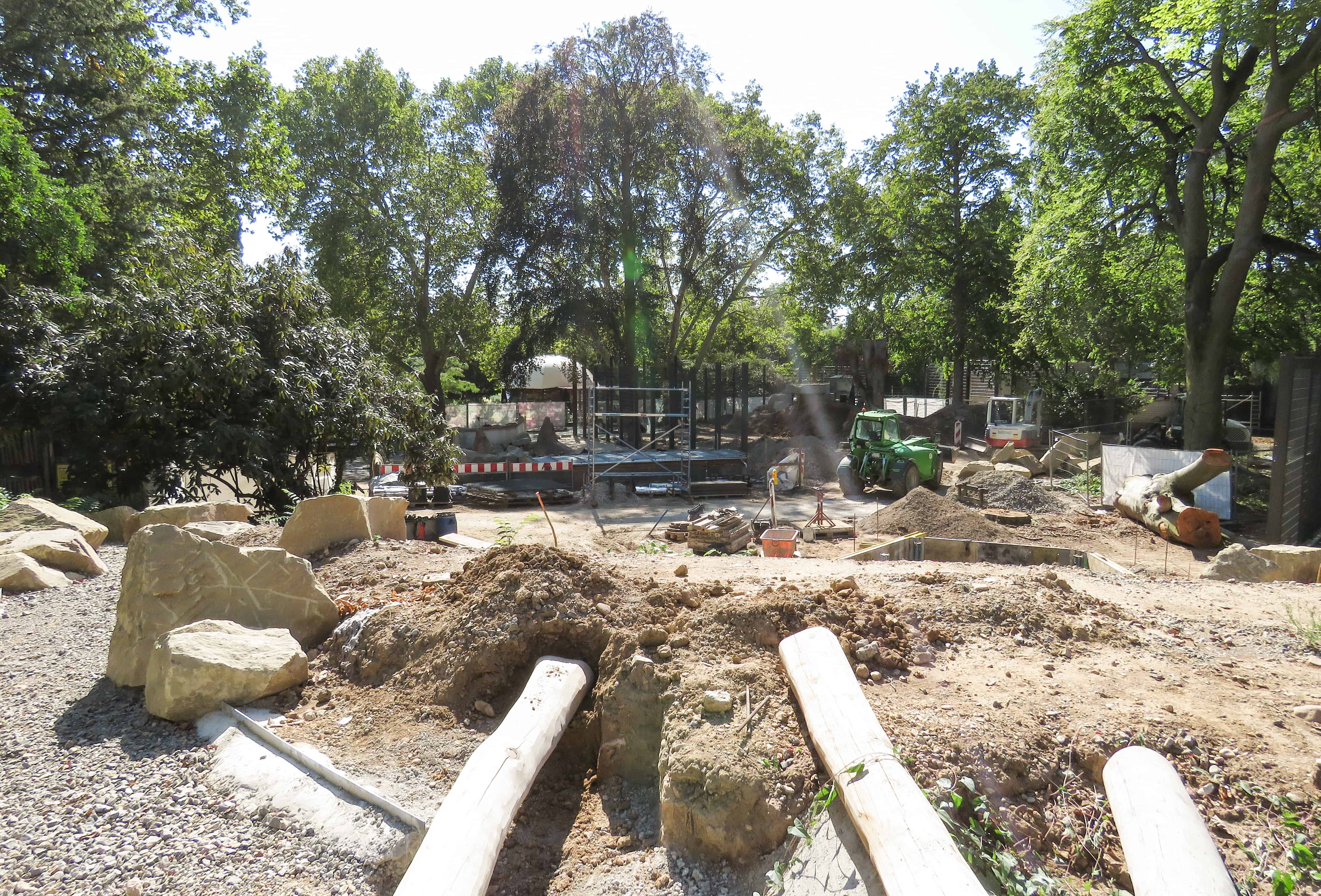 Baustelle Löwenanlage (Foto: Zoo Heidelberg)