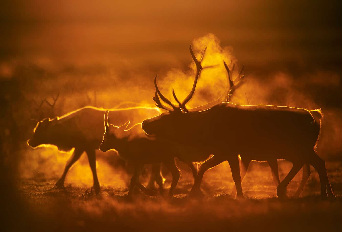 Wunderwelten 2018 (Foto: Florian Smit)