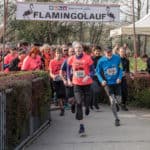 Flamingolauf 2019 im Zoo Heidelberg (Foto: Susi Fischer)