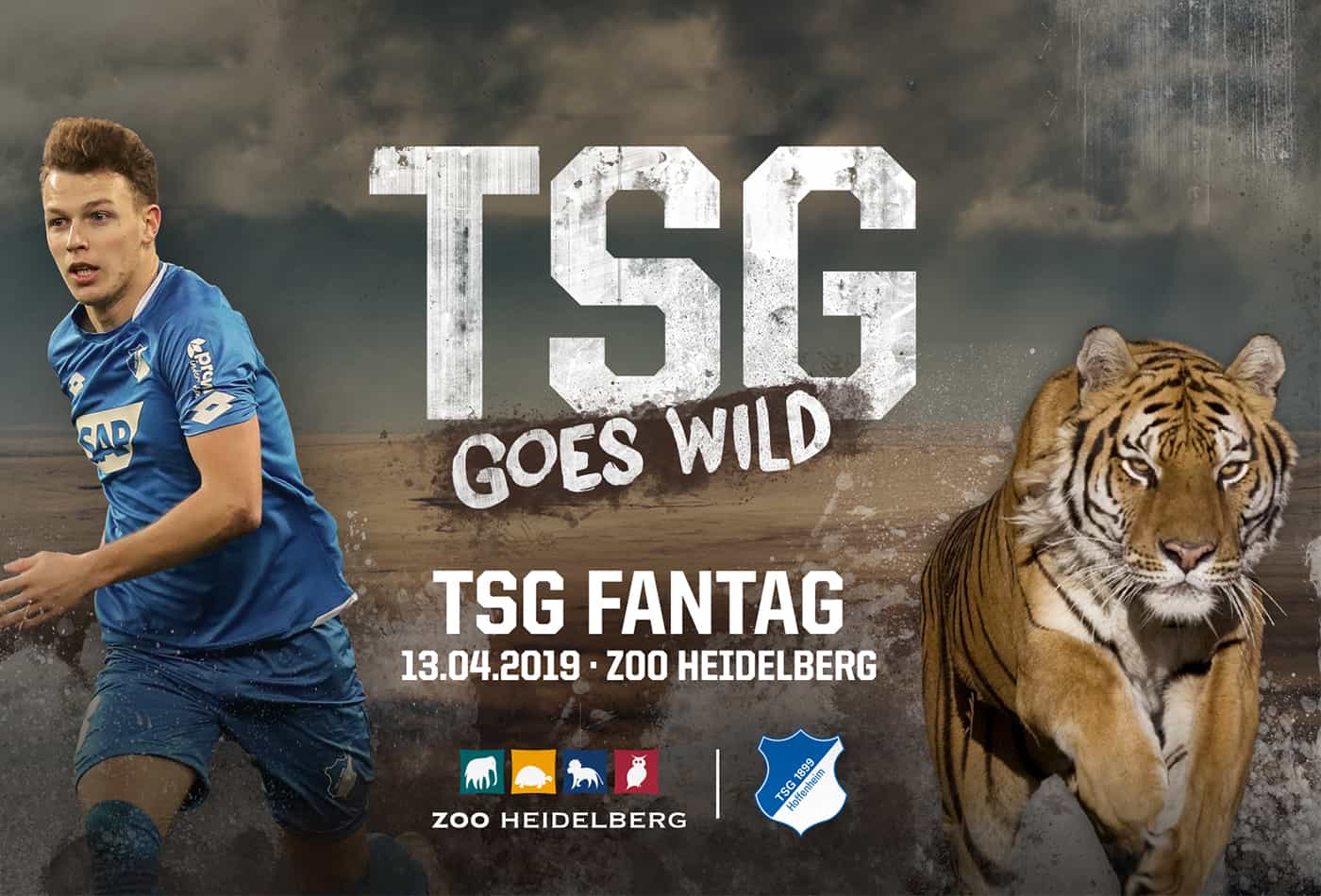 TSG Fantag 2019 (Foto: TSG Hoffenheim)