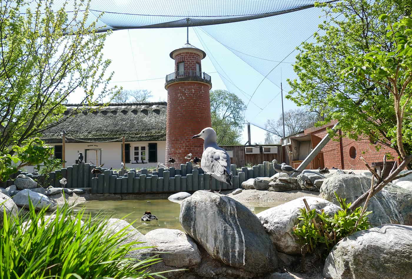 Küstenpanorama im Zoo Heidelberg (Foto: Heidrun Knigge/Zoo Heidelberg)