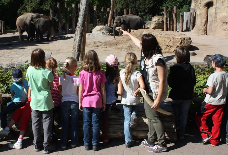 VdZStudie belegt Zoos leisten wertvolle Bildungsarbeit