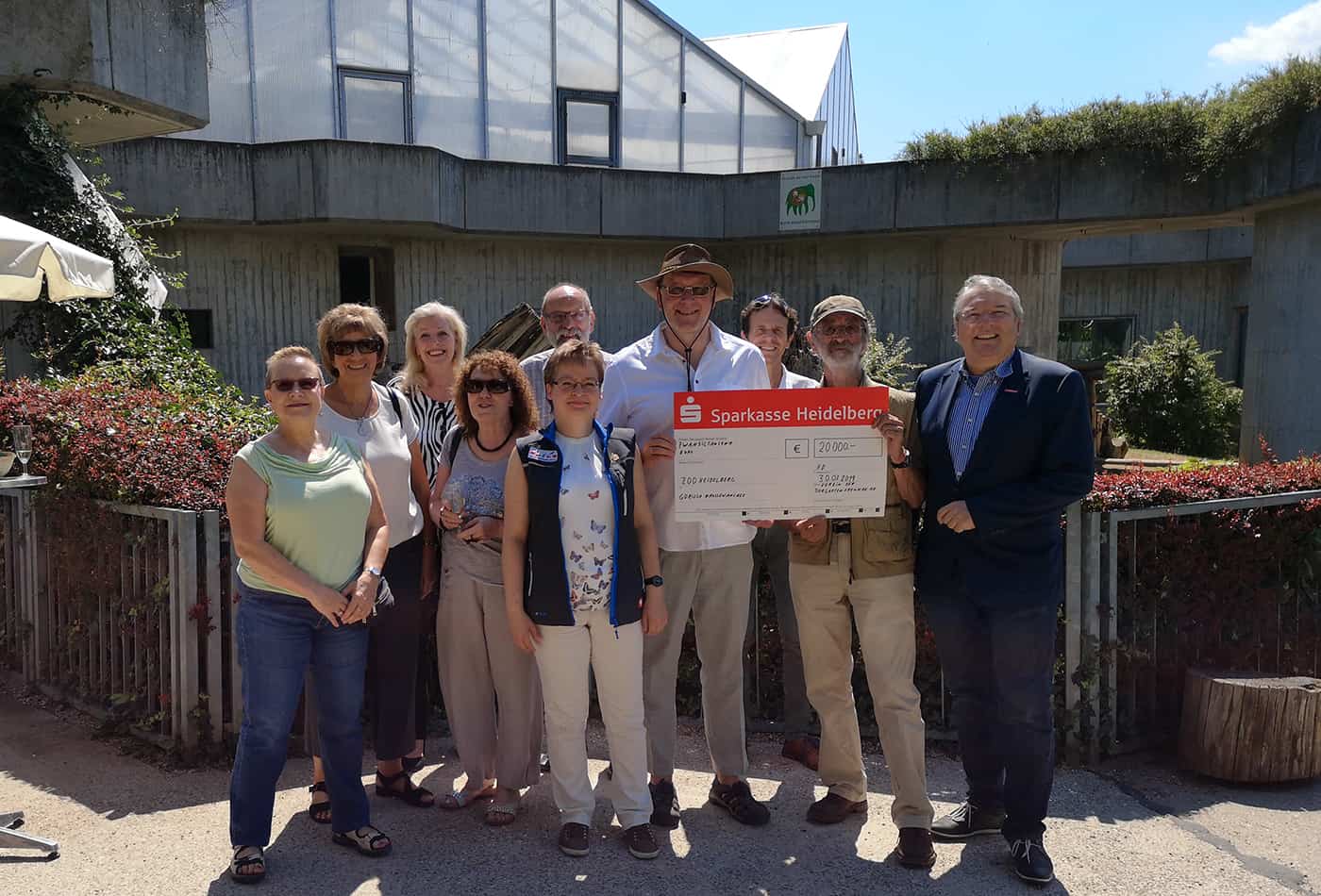 Gemeinsam mit Mitgliedern der Tiergartenfreunde Heidelberg überreichten die Vorstandsmitglieder Dr. Jan Gradel (r.), 1. Vorsitzender, Hans-Jürgen Pföhler (2.v.r.), Schatzmeister, und Barbara-Inge Fritzen (5.v.l), Beauftragte für Öffentlichkeitsarbeit den Spendenscheck in Höhe von 20.000 € für die neue Gorilla-Anlage an Zoodirektor Dr. Klaus Wünnemann (4.v.r) und den Kaufmännischen Geschäftsführer Frank-Dieter Heck (3.v.r) (Foto: Zoo Heidelberg)