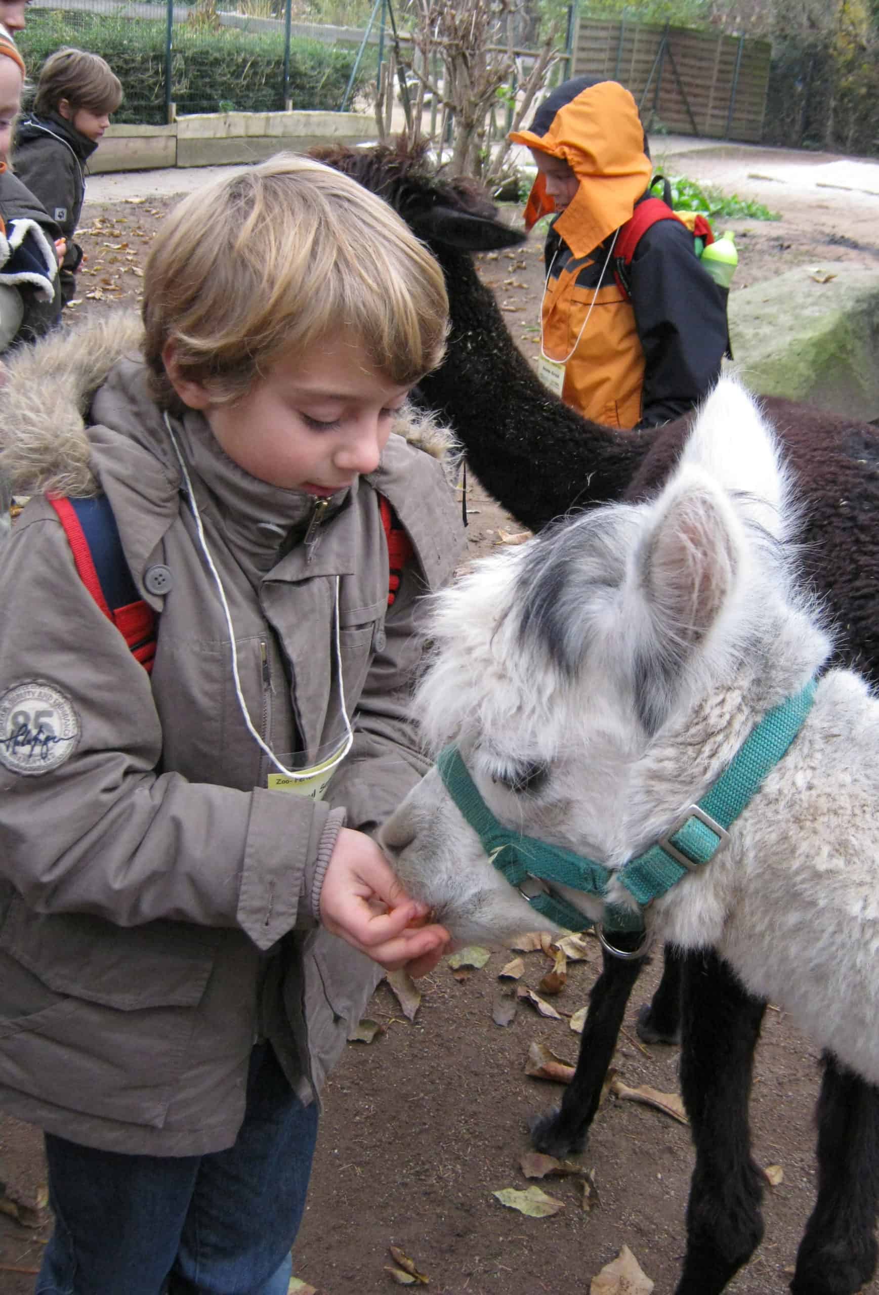 Ferienprogramm in den Faschingsferien (Foto: Zoo Heidelberg)