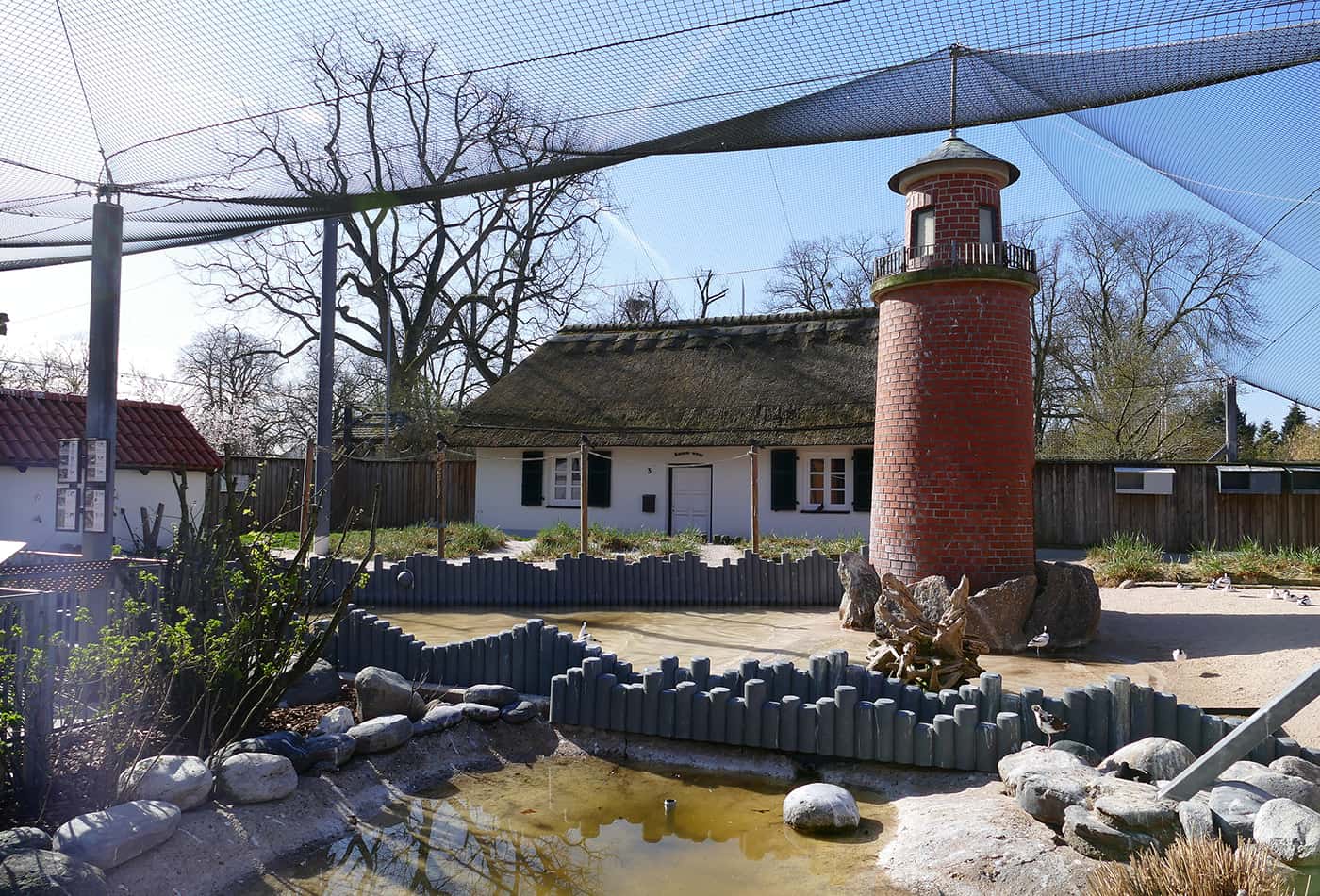 Küstenpanorama im Zoo (Foto: Petra Medan/Zoo Heidelberg)