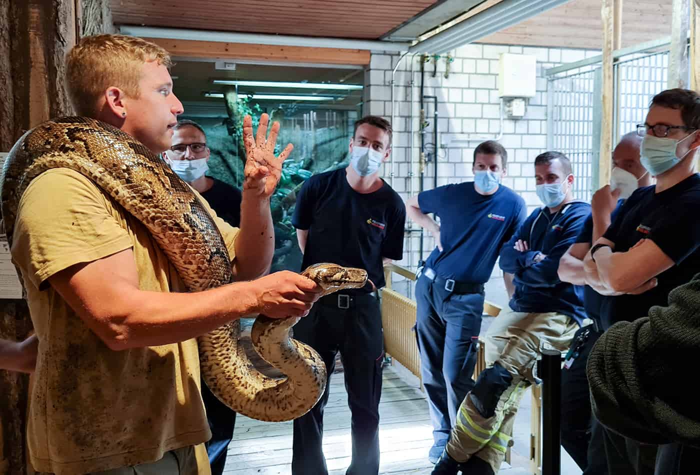 Tierpfleger Julian Oosterveen erklärt der Heidelberger Berufsfeuerwehr den richtigen Umgang mit Gefahrentieren. Im Praxisteil des Workshops konnten die Feuerwehrleute dem Tigerpython ganz nahekommen. (Foto: Zoo Heidelberg)