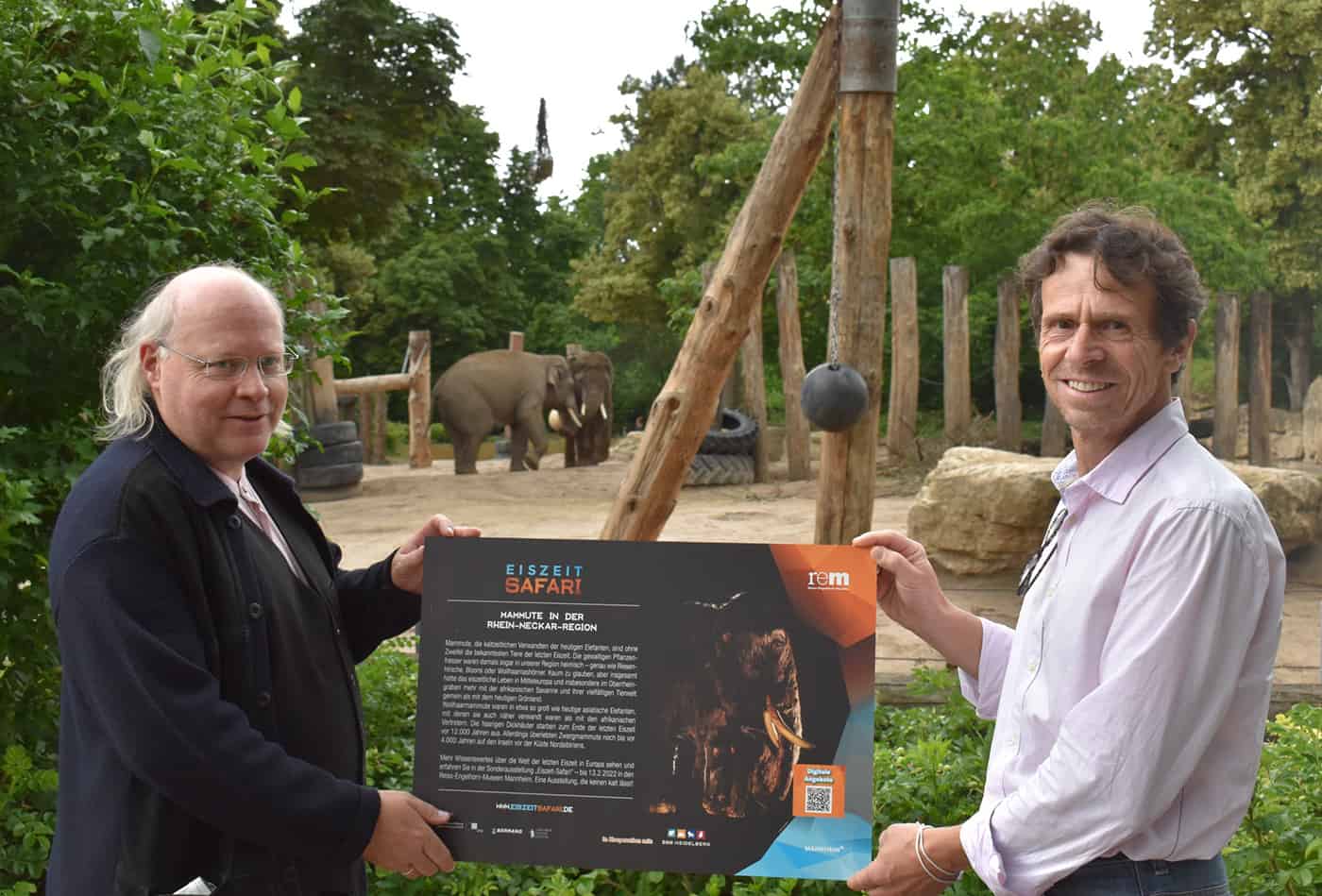 Bebilderte Hinweistafeln im Zoo, bei Bären, Löwen und Elefanten verweisen auf die eiszeitliche Verwandschaft in der Schau „Eiszeit Safari“. Übergabe der Infoschilder im Zoo: Prof. Dr. Rosendahl, Generaldirektor der Reiss-Engelhorn-Museen und Frank-Dieter Heck, kaufm. Geschäftsführer Zoo Heidelberg. (Foto: rem)