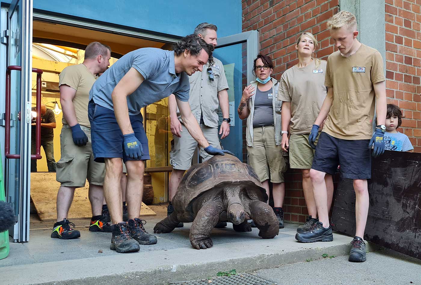 Den Weg zwischen Gehege und Transporter legten die Reptilien selbstständig zurück. (Foto: Zoo Heidelberg)