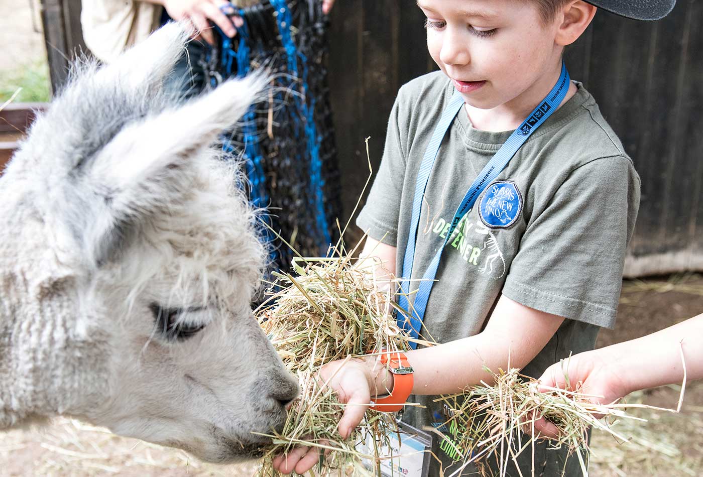 Beim Ferienprogramm im Zoo Heidelberg können die Teilnehmer viel über die tierischen Zoobewohner erfahren. (Foto: Zoo Heidelberg)