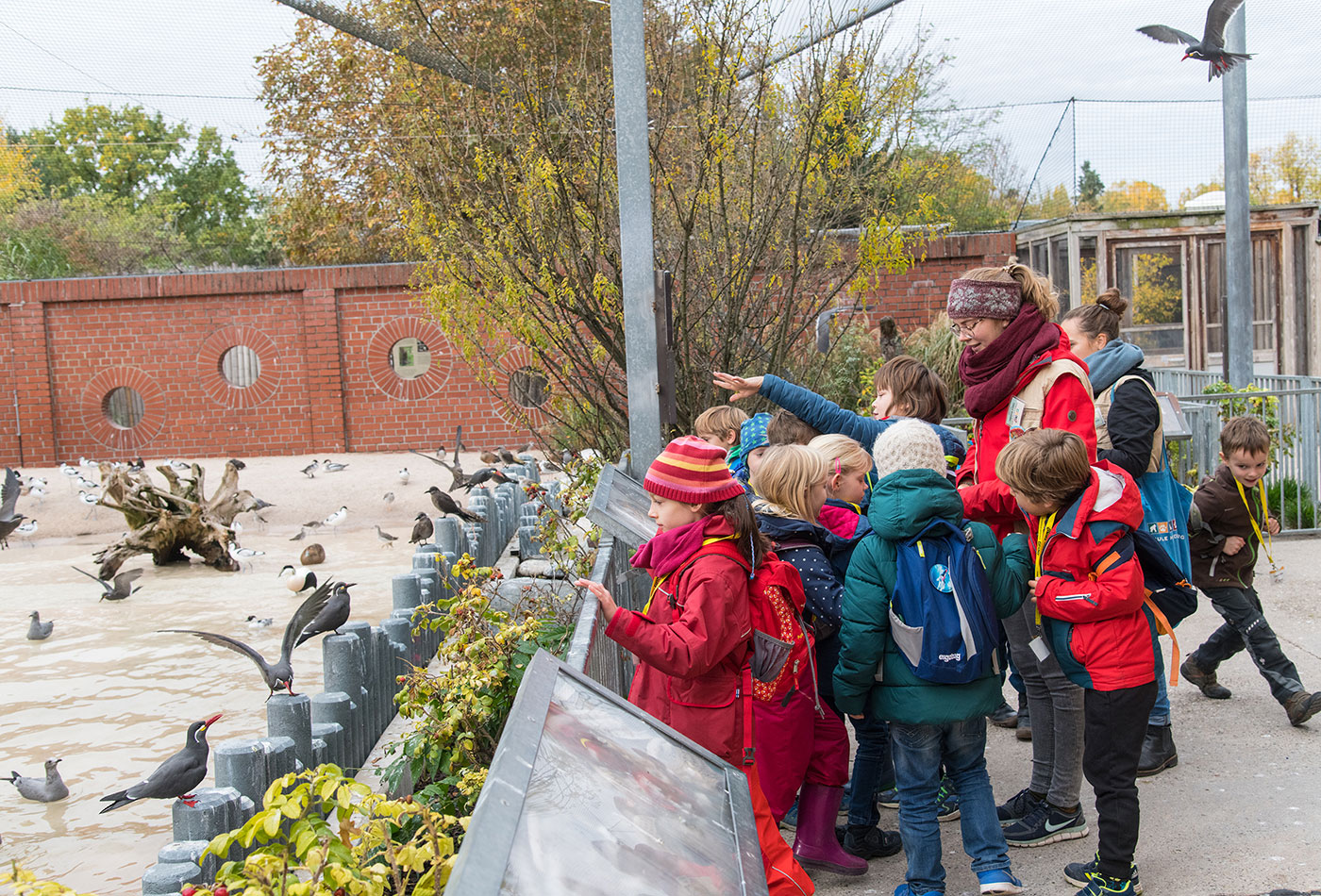 Bei den Angeboten in den Weihnachtsferien erkunden die Gruppen je nach Thema unterschiedliche Zoobereiche. (Archivfoto: Uwe Merkel/Zoo Heidelberg)