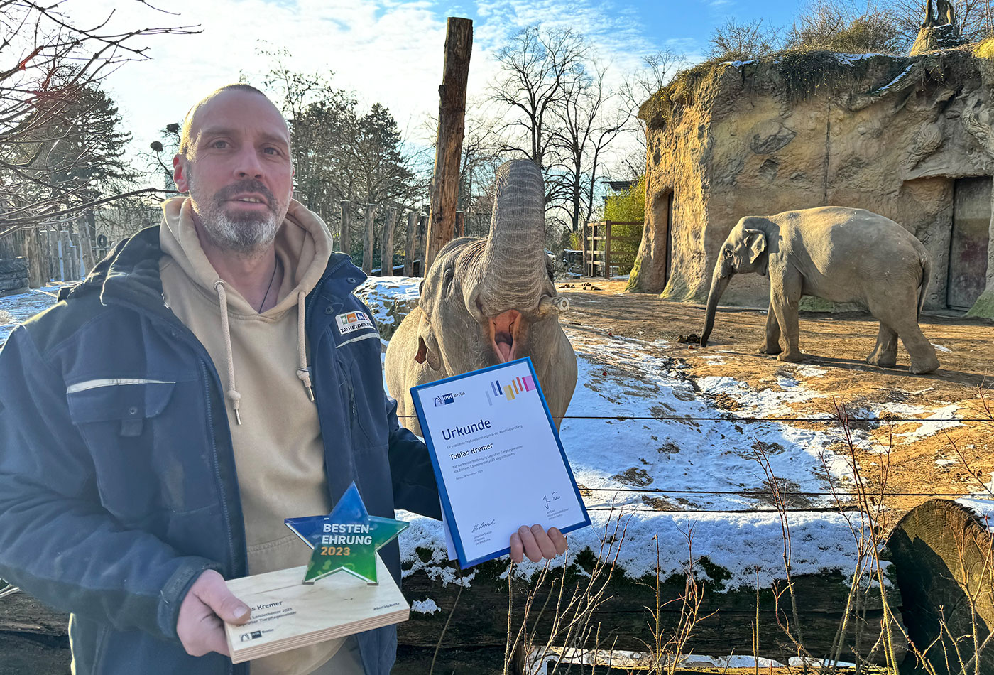 Landesbester Tierpflegermeister Tobias Kremer bei „seinen“ Elefanten (Zoo Heidelberg)