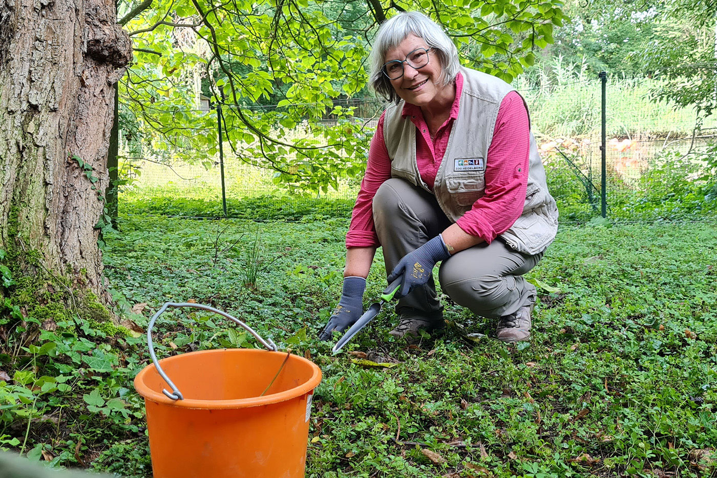 Frau im Grünen bei der Gartenarbeit