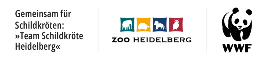 Kooperationslogo Team Schildkröte Heidelberg und WWF