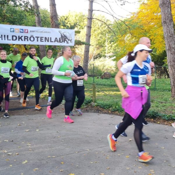 Start der Läufer beim Spendenlauf 2025 im Zoo Heidelberg.