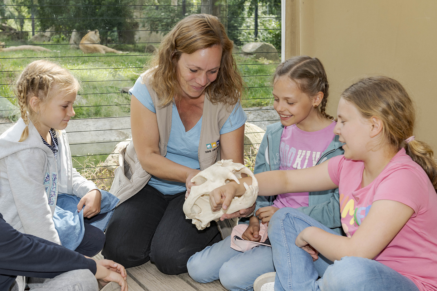 Ein abwechslungsreiches Jahr 2026 mit der Zoo-Akademie – das verspricht das neue Jahresprogramm mit vielen Rundgängen, Ferienprogrammen und Workshops.