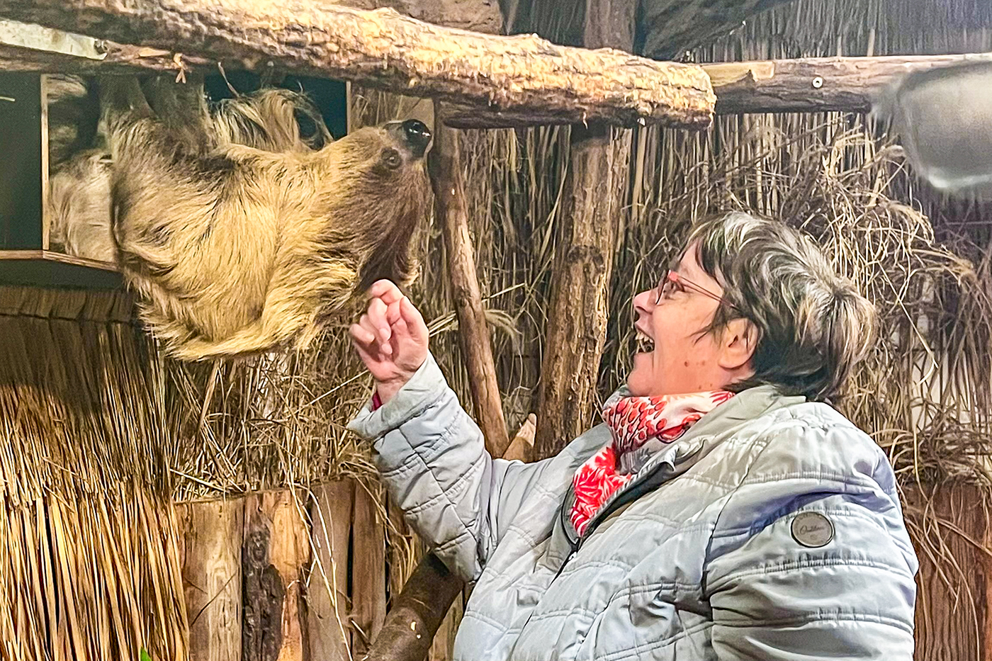 Die Faultiere genießen kleine Streicheleinheiten und Leckerlis von den Tierpaten