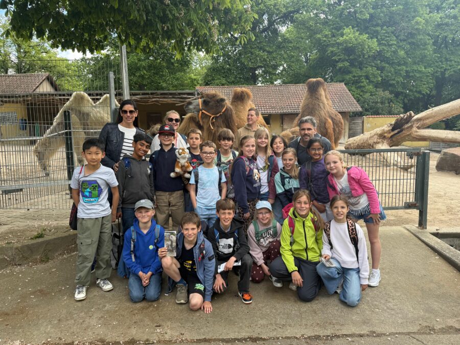 Bild Spende Tigers