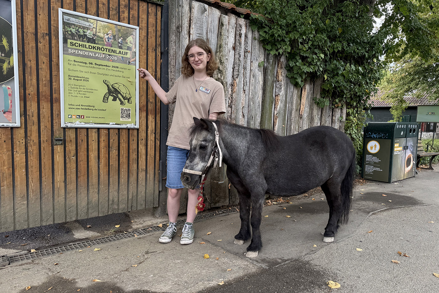 Pony im Zoo